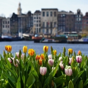 amsterdam-4350882_1280_0 Amsterdam